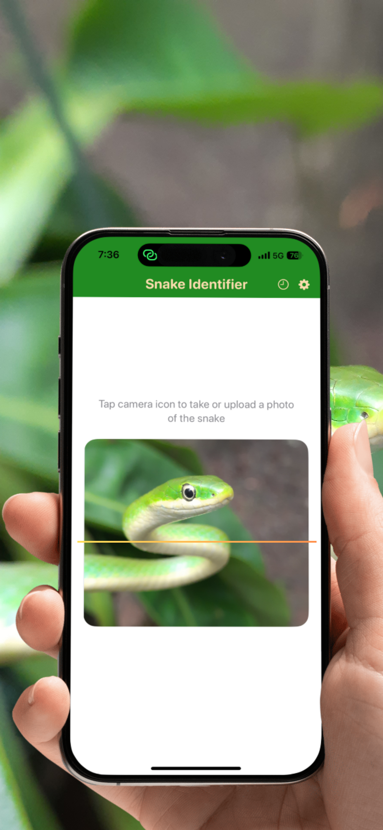 Analyzing snake photo with AI