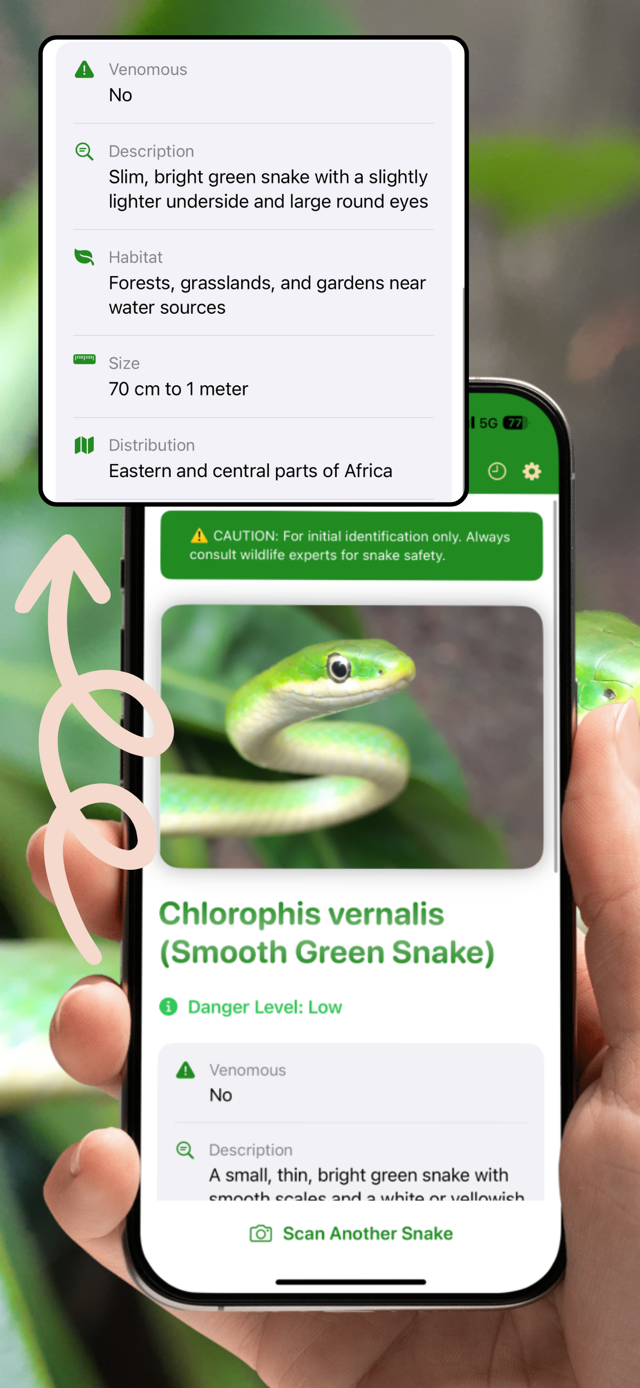 Get detailed snake identification results